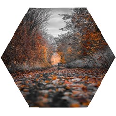 Breathe In Nature Background Wooden Puzzle Hexagon