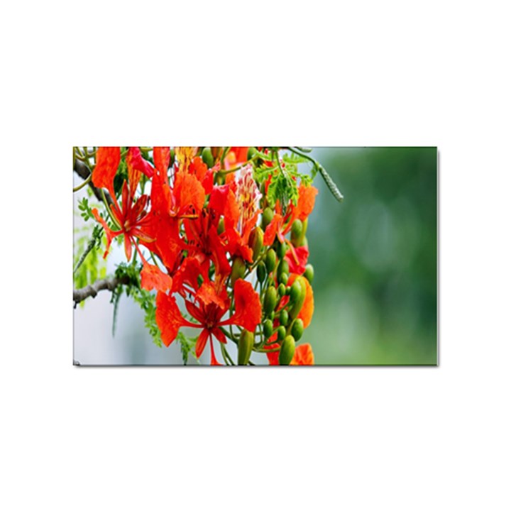 Gathering Sping Flowers Wallpapers Sticker (Rectangular)