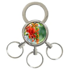 Gathering Sping Flowers Wallpapers 3-ring Key Chain by artworkshop