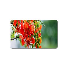 Gathering Sping Flowers Wallpapers Magnet (name Card) by artworkshop