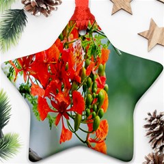 Gathering Sping Flowers Wallpapers Star Ornament (two Sides) by artworkshop