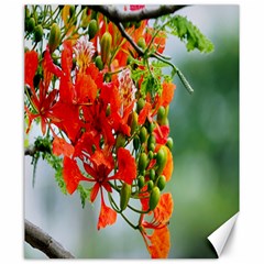 Gathering Sping Flowers Wallpapers Canvas 20  X 24  by artworkshop