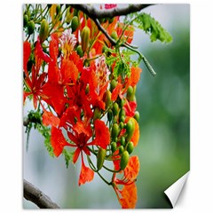 Gathering Sping Flowers Wallpapers Canvas 11  X 14  by artworkshop