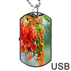 Gathering Sping Flowers Wallpapers Dog Tag Usb Flash (one Side) by artworkshop