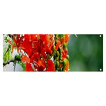 Gathering Sping Flowers Wallpapers Banner and Sign 8  x 3  Front