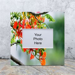 Gathering Sping Flowers Wallpapers White Box Photo Frame 4  X 6  by artworkshop