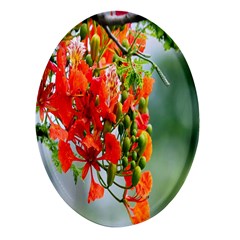 Gathering Sping Flowers Wallpapers Oval Glass Fridge Magnet (4 Pack) by artworkshop