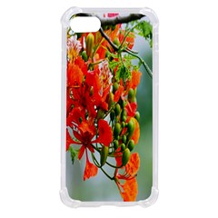 Gathering Sping Flowers Wallpapers Iphone Se by artworkshop