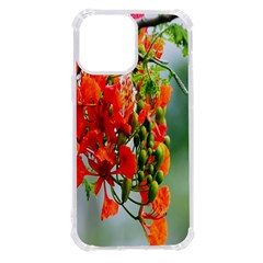 Gathering Sping Flowers Wallpapers Iphone 13 Pro Max Tpu Uv Print Case