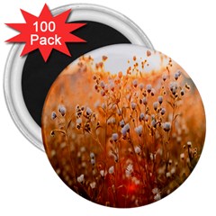 Late Afternoon 3  Magnets (100 Pack) by artworkshop