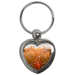 Late Afternoon Key Chain (heart) by artworkshop