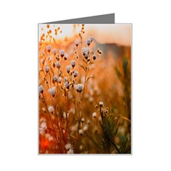 Late Afternoon Mini Greeting Card by artworkshop