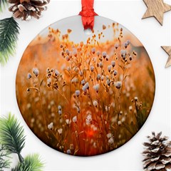 Late Afternoon Round Ornament (two Sides) by artworkshop