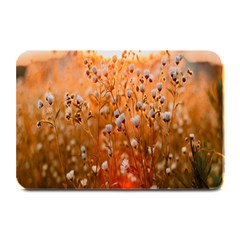 Late Afternoon Plate Mats by artworkshop