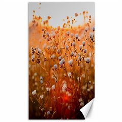 Late Afternoon Canvas 40  X 72  by artworkshop