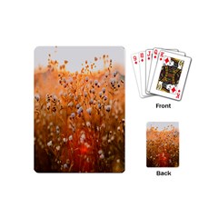 Late Afternoon Playing Cards Single Design (mini) by artworkshop