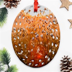 Late Afternoon Ornament (oval Filigree) by artworkshop