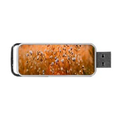 Late Afternoon Portable Usb Flash (two Sides) by artworkshop