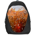 Late Afternoon Backpack Bag Front