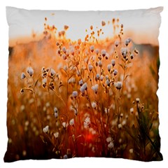 Late Afternoon Large Premium Plush Fleece Cushion Case (one Side) by artworkshop