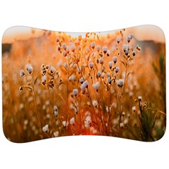 Late Afternoon Velour Seat Head Rest Cushion by artworkshop