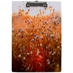 Late Afternoon A4 Acrylic Clipboard by artworkshop