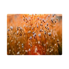 Late Afternoon Premium Plush Fleece Blanket (mini) by artworkshop