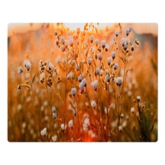 Late Afternoon Premium Plush Fleece Blanket (large) by artworkshop