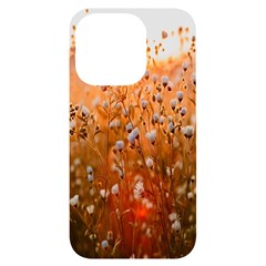 Late Afternoon Iphone 14 Pro Black Uv Print Case