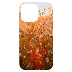 Late Afternoon Iphone 14 Pro Max Black Uv Print Case