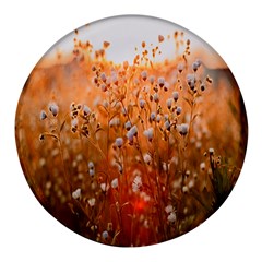 Late Afternoon Round Glass Fridge Magnet (4 Pack) by artworkshop