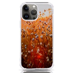 Late Afternoon Iphone 13 Pro Max Tpu Uv Print Case