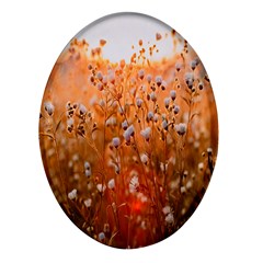 Late Afternoon Oval Glass Fridge Magnet (4 Pack)