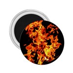 Live Coals 2.25  Magnets Front