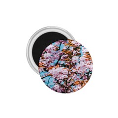 Nature Beautiful Rainbow 1.75  Magnets