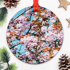 Nature Beautiful Rainbow Ornament (Round)