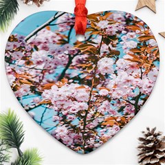 Nature Beautiful Rainbow Ornament (Heart)