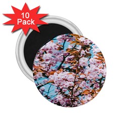 Nature Beautiful Rainbow 2.25  Magnets (10 pack) 