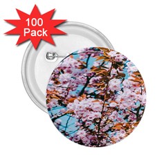 Nature Beautiful Rainbow 2.25  Buttons (100 pack) 