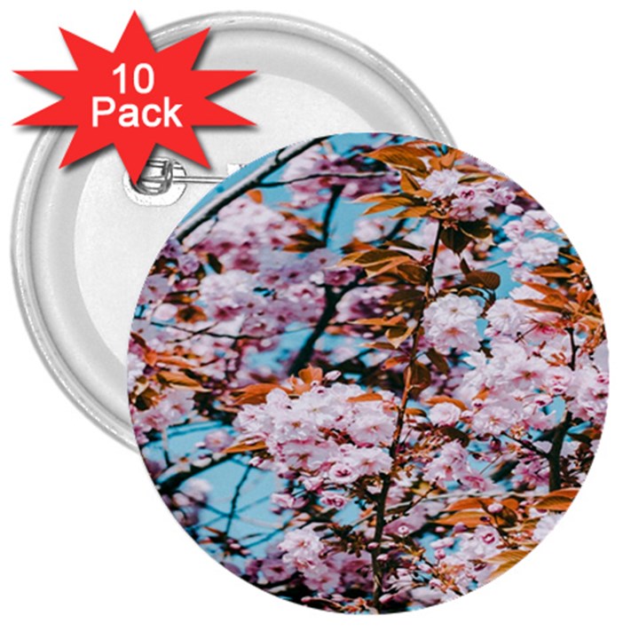 Nature Beautiful Rainbow 3  Buttons (10 pack) 