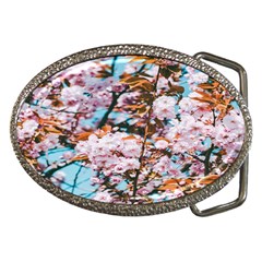 Nature Beautiful Rainbow Belt Buckles