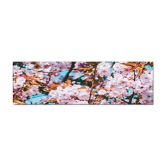 Nature Beautiful Rainbow Sticker (Bumper)