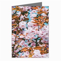 Nature Beautiful Rainbow Greeting Cards (Pkg of 8)