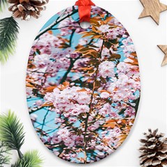 Nature Beautiful Rainbow Oval Ornament (Two Sides)