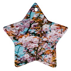 Nature Beautiful Rainbow Star Ornament (two Sides) by artworkshop