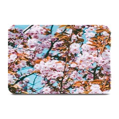 Nature Beautiful Rainbow Plate Mats by artworkshop