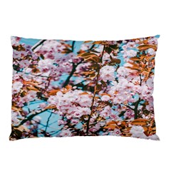 Nature Beautiful Rainbow Pillow Case