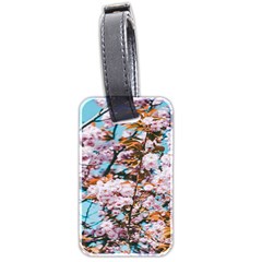 Nature Beautiful Rainbow Luggage Tag (two sides)