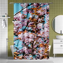 Nature Beautiful Rainbow Shower Curtain 48  x 72  (Small) 