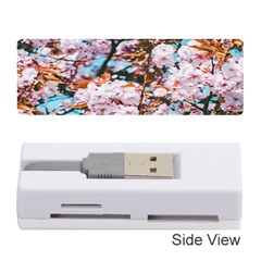 Nature Beautiful Rainbow Memory Card Reader (Stick)